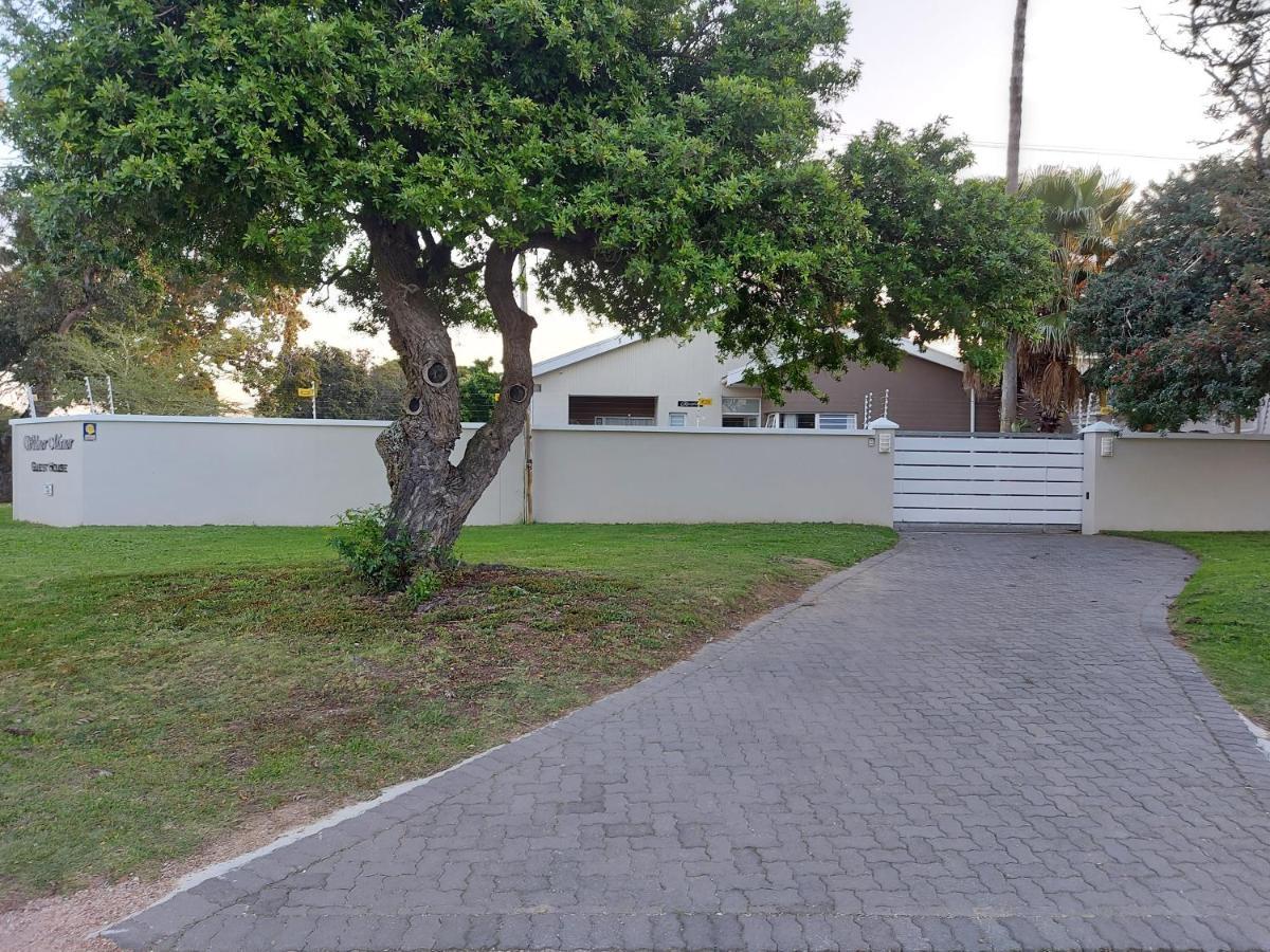 Walmer Manor Port Elizabeth Extérieur photo